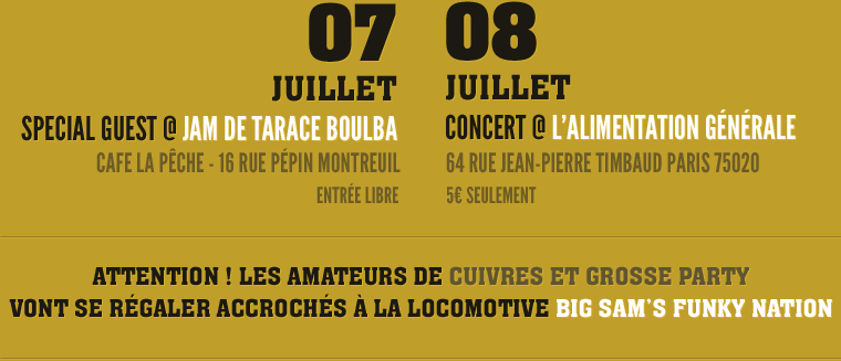 Attention ! les amateurs de cuivres et grosse party vont se r&eacute;galer accroch&eacute;s &agrave; la locomotive BIG SAM'S FUKY NATION.